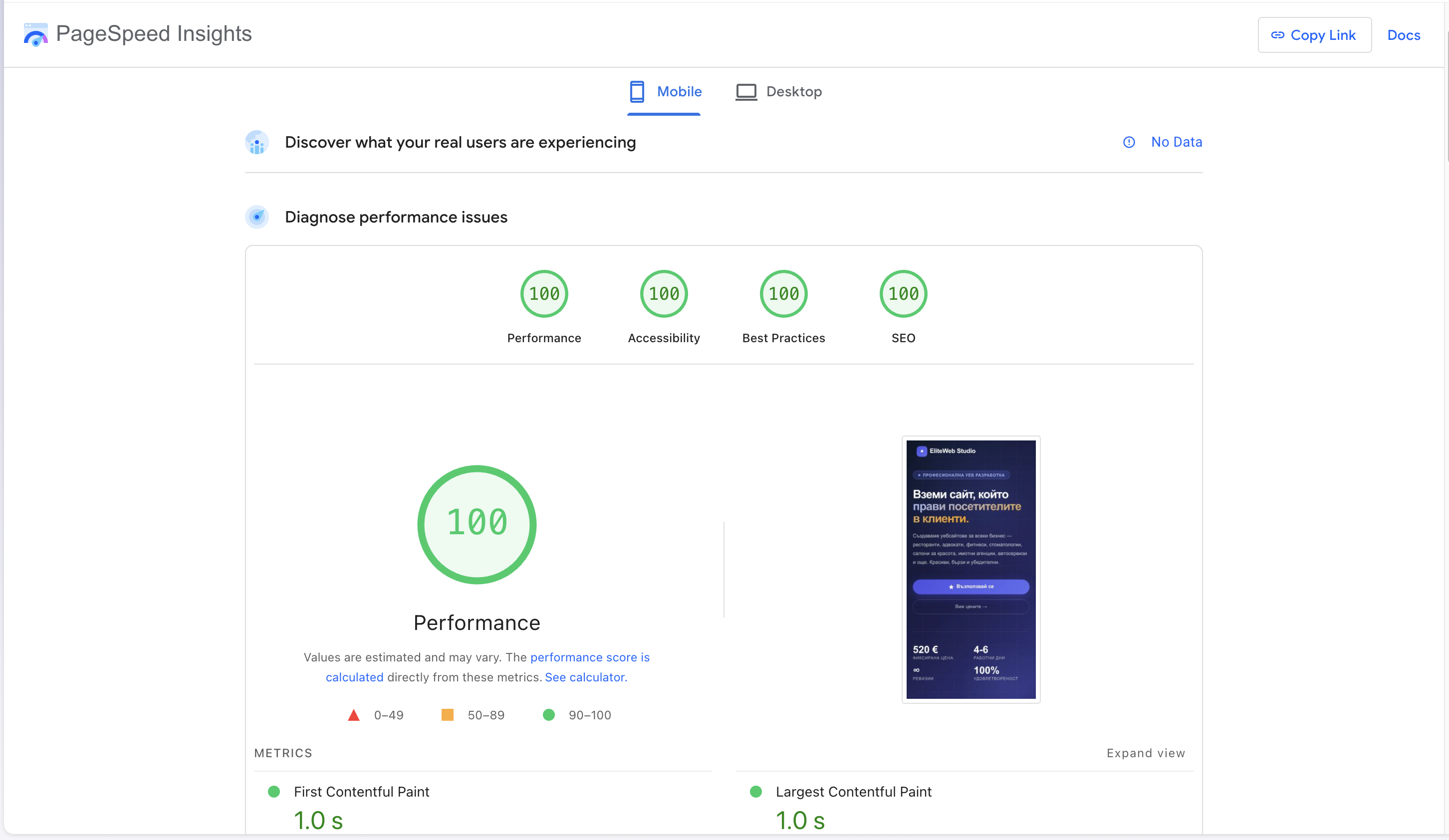 PageSpeed Insights резултат 100 от 100 за EliteWeb Studio